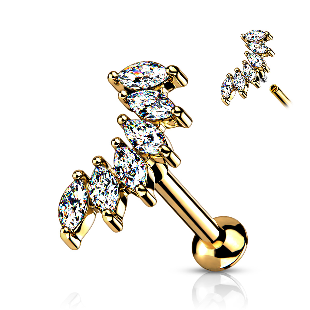 Labret Dorado con 6 Joyas